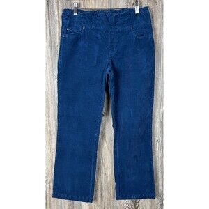 Chadwicks Blue Corduroy Pants 8P‎ (29x27) Elastic Waist Pull On Cotton/Spandex